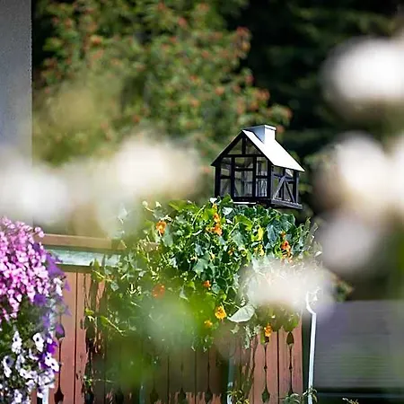 Bed & Breakfast Alpenhof 3*