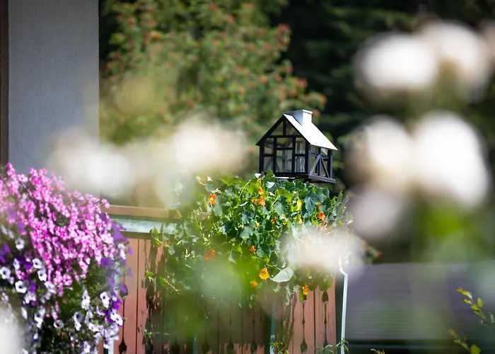 Bed & Breakfast Alpenhof